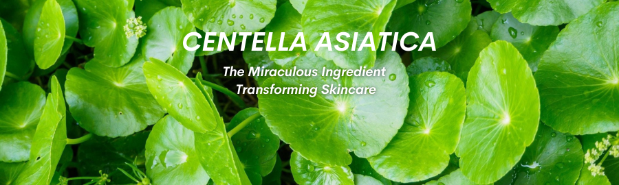 Centella Asiatica: The Miraculous Ingredient Transforming Skincare
