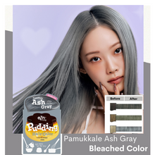 Load image into Gallery viewer, eZn Pudding Hair Colour- Pamukkale Ash Gray
