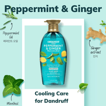 Load image into Gallery viewer, Organist Peppermint and Ginger Cooling Shampoo
