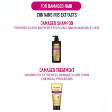 将图片加载到图库查看器，Dr. Groot Anti-Hair Loss Treatment for Damaged Hair - {{ shop.kloft.com.au}}
